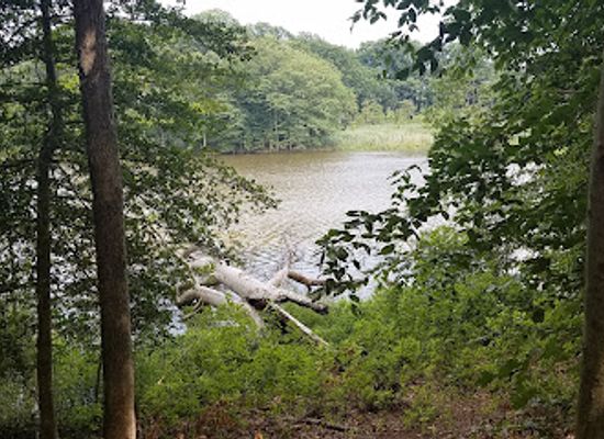 delaware/the-dover-metropolitan-area/attraction/tidbury-park