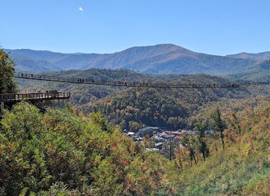 tennessee/great-smoky-mountains/attraction/the-tulip-tower