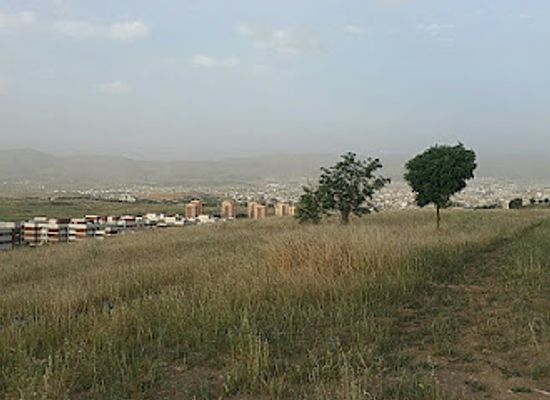 iraq/sulaymaniyah-governorate/attraction/gori-bonekan-zankoi-slemani