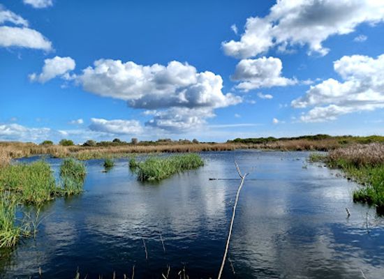 portugal/vilamoura/attraction/bird-observatory