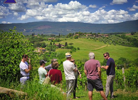 italy/chianti-classico/attraction/azienda-agricola-la-lastra