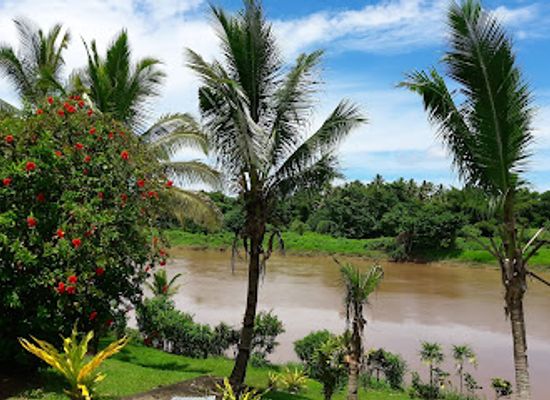 fiji/lau-islands/attraction/river-tubing-fiji
