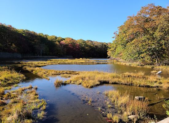 connecticut/connecticut-river-valley/attraction/rocky-neck-state-park