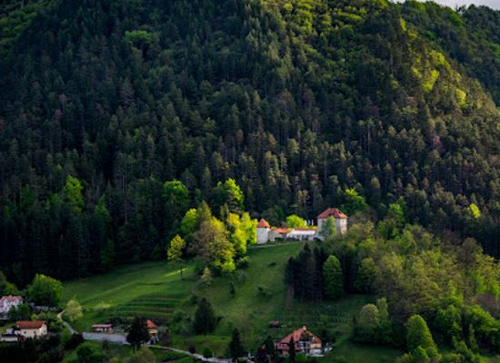 slovenia/zasavje/attraction/gostinstvo-pavus-marko-pavcnik-s-p