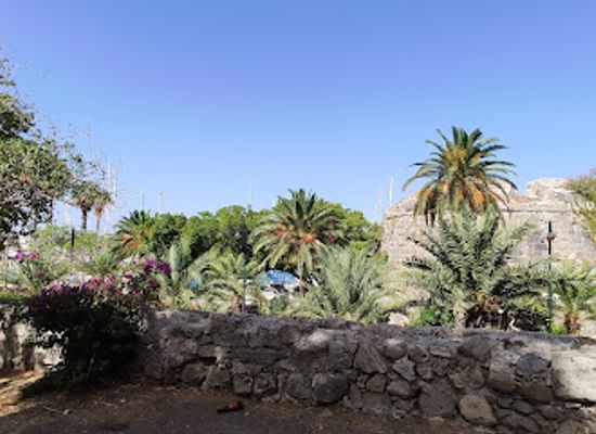 greece/dodecanese/attraction/leophoros-ton-foinikon