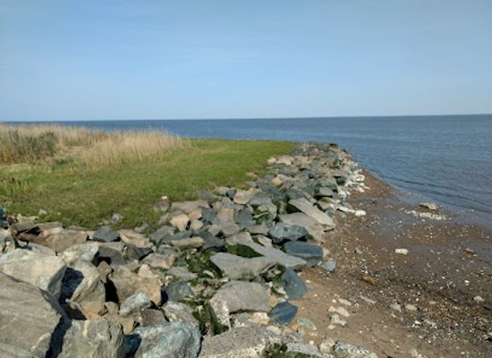 delaware/bombay-hook-national-wildlife-refuge/attraction/little-creek-wildlife-area