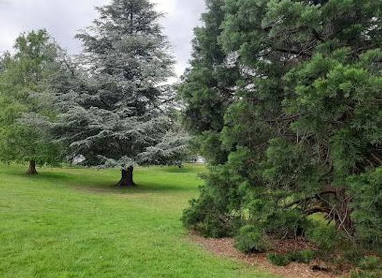 australia/hobart/attraction/cascade-gardens