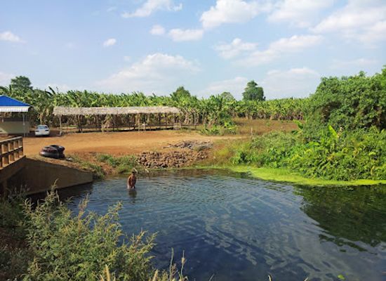 cambodia/kampong-thom/attraction/toek-chha-tourism-site