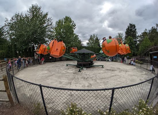 washington/western-washington/attraction/remlinger-farms