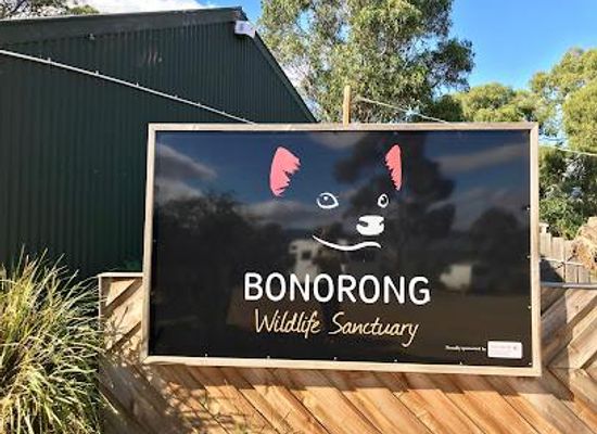 australia/hobart/attraction/bonorong-wildlife-sanctuary