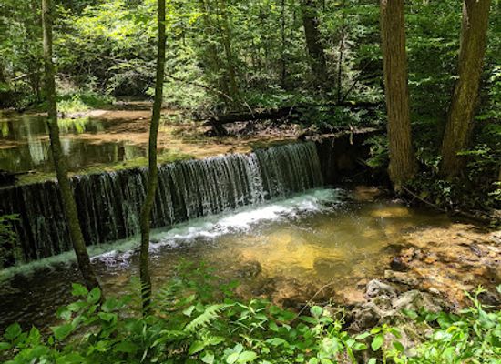 pennsylvania/appalachian-mountains/attraction/mont-alto-state-park