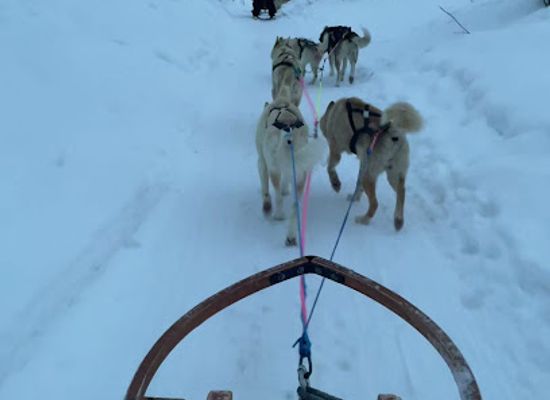 norway/tromso/attraction/tromso