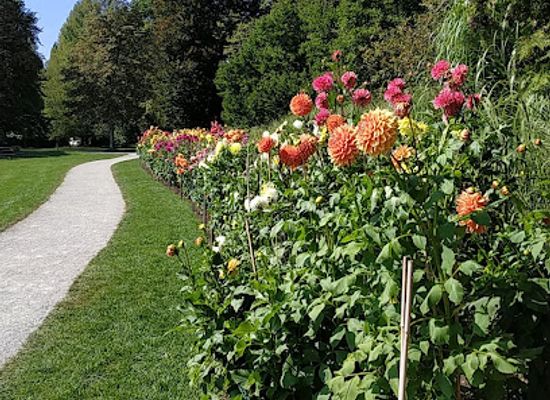 austria/salzburg/attraction/dahliengarten
