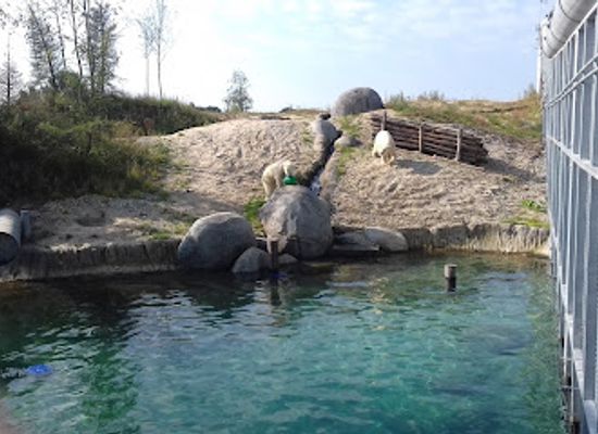 netherlands/drenthe/attraction/nortica