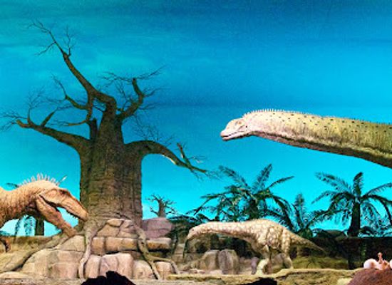 germany/saarland/attraction/gondwana-the-prehistorium