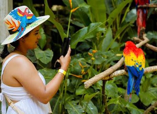 honduras/copan-ruinas/attraction/macaw-mountain-bird-park