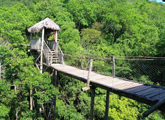 brazil/bonito/attraction/gruta-catedral