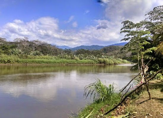 costa-rica/puntarenas/attraction/jose-s-crocodile-river-tour