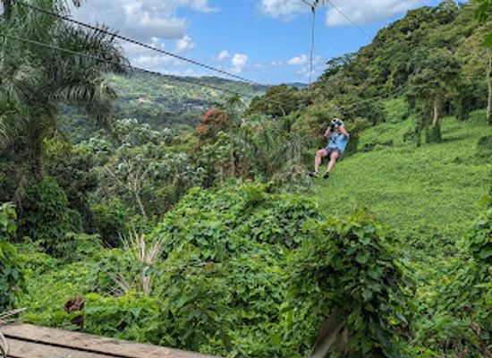 puerto-rico/caribbean-national-forest/attraction/yunque-ziplining