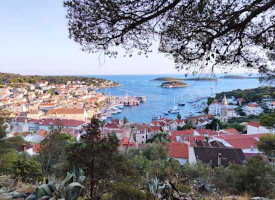 croatia/hvar/attraction/dr-josip-avelini-park