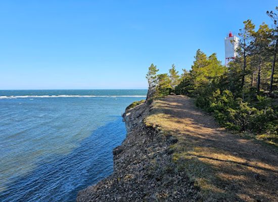 estonia/panga-cliff/attraction/panga-pank