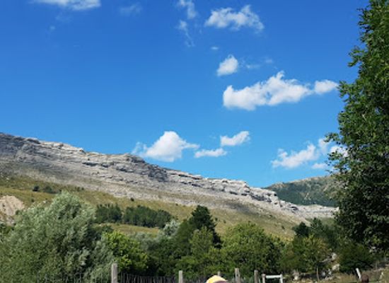 france/provence/attraction/wild-animal-park-valley