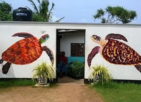 sri-lanka/matara/attraction/sea-turtle-farm-hatchery-koggala