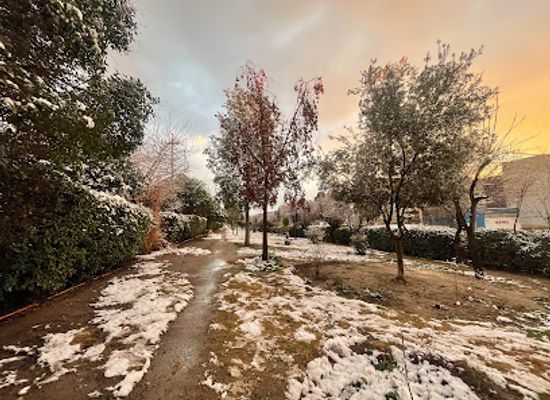 iraq/hawler/attraction/garden