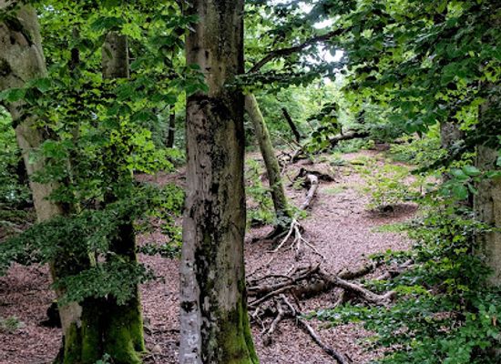 sweden/skane/attraction/ostra-kullaberg