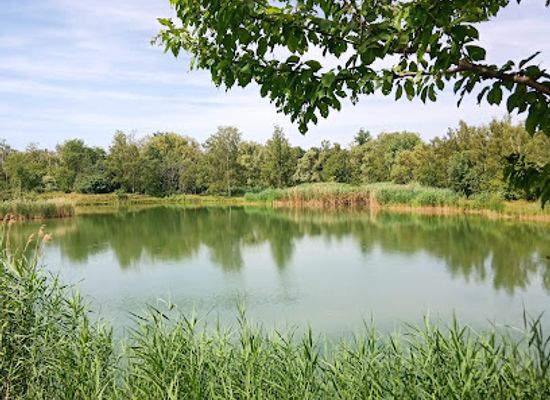 germany/palatinate/attraction/erdekaut-erlebnislandschaft