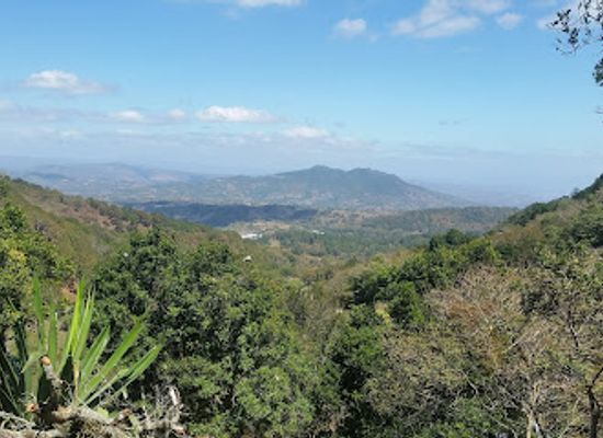 nicaragua/esteli-plateau/attraction/esculturas-en-piedra-don-alberto-gutierrez