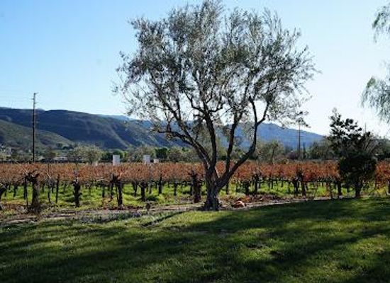 california/san-diego-county/attraction/somerset-winery