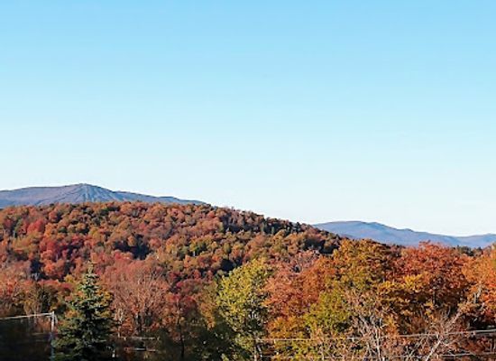 vermont/windham-county/attraction/stratton-mountain-resort