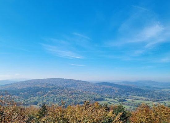 poland/beskid-niski-mountains/attraction/magura-watkowska