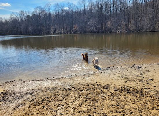 delaware/lums-pond-state-park/attraction/lums-pond-dog-park