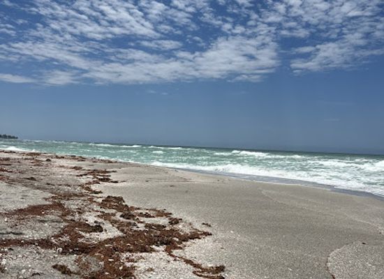 florida/sarasota-beaches/attraction/kayaking-srq