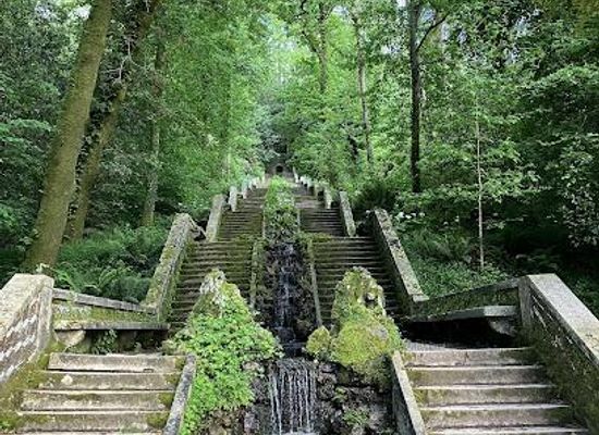 portugal/aveiro/attraction/bucaco-national-forest