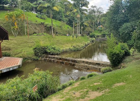 colombia/quindio-department/attraction/vida-park