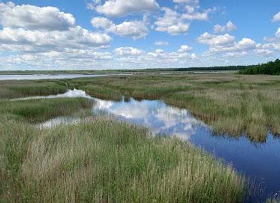 latvia/jurmala/attraction/birdwatching-tower-of-riekstusala