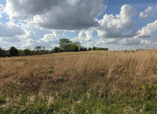iowa/tallgrass-prairie/attraction/moore-memorial-park