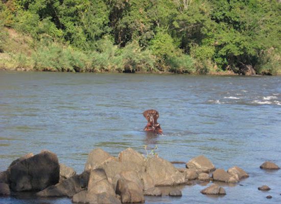 malawi/majete-wildlife-reserve/attraction/majete-wildlife-reserve-and-african-parks-head-quarters