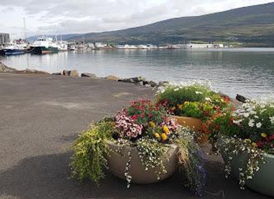 iceland/dalvik/attraction/akureyri-botanical-garden