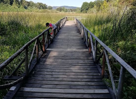 chile/valdivia/attraction/parque-urbano-el-bosque
