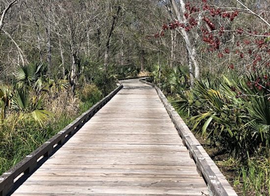mississippi/the-gulf-coast/attraction/gulf-coast-eco-tour