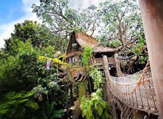 california/costa-mesa/attraction/tarzan-s-treehouse