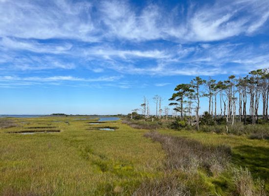 virginia/tidewater/attraction/life-of-the-forest-nature-trail