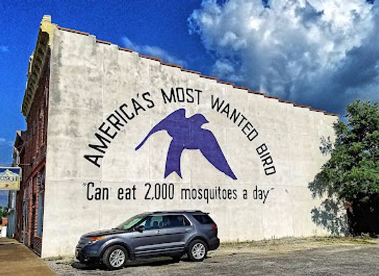illinois/great-river-road/attraction/purple-martin-highrise-of-the-purple-martin-capital-of-the-nation