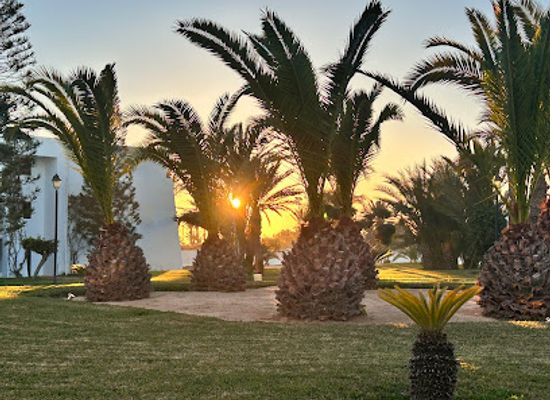tunisia/djerba/attraction/touristique-zone