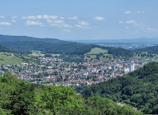 switzerland/aargau/attraction/wasserturm-baldegg