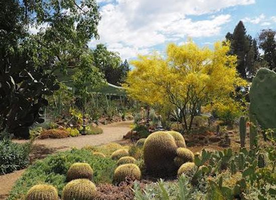 california/san-ramon/attraction/the-ruth-bancroft-garden-nursery